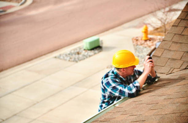 Best Roof Gutter Cleaning  in Roscoe, IL