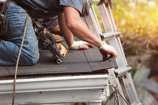Best Commercial Roofing Services  in Roscoe, IL