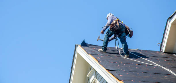 Best Best Roofing Contractors  in Roscoe, IL